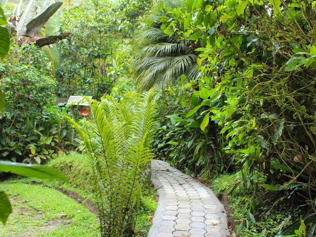 El Septimo Paraiso Mindo Exterior foto