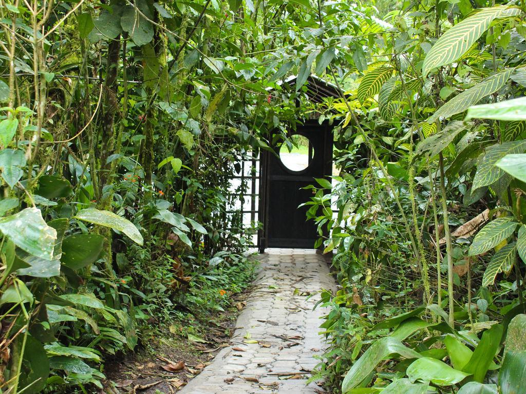 El Septimo Paraiso Mindo Exterior foto